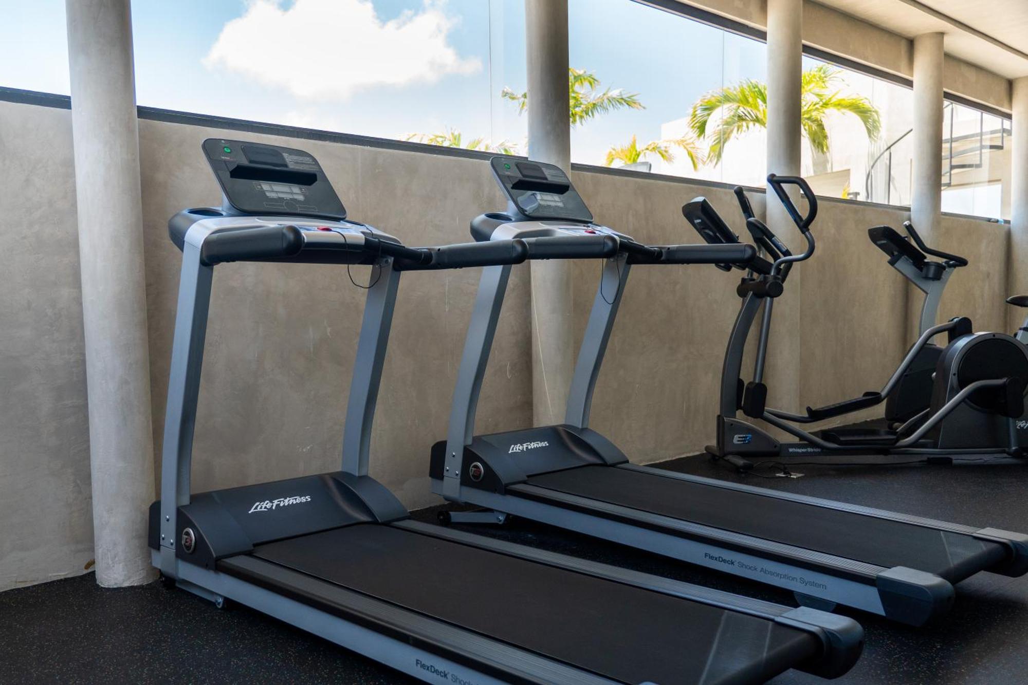 Fancy 3 Bedroom Apartments In Downtown Playa Rooftop Pool Gym Playa del Carmen Exterior photo